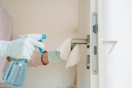 Woman cleaning a door handle with a disinfection spray Fensterreingier hängen an der Fassade der Elbphilharmonie